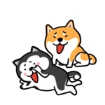 Cute Shiba Husky Friend Sticke