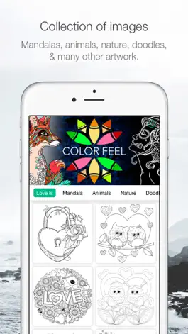 Game screenshot ColorFeel Coloring Book apk