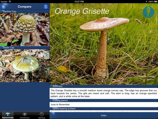 Screenshot #6 pour Mushroom Id Guide - UK