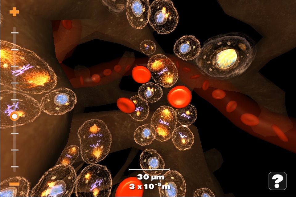 Powers of Minus Ten - Bone screenshot 3