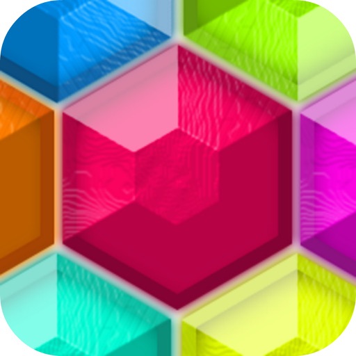 Block Hex Fit Puzzle iOS App