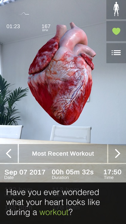INSIGHT HEART