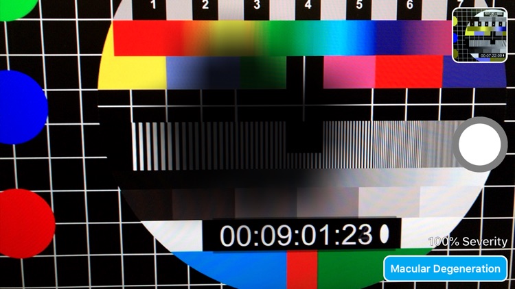 Vision Impairment Simulator screenshot-5