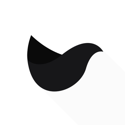 Blackdove Video Art