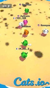 Cats.io Bumper Kittens screenshot