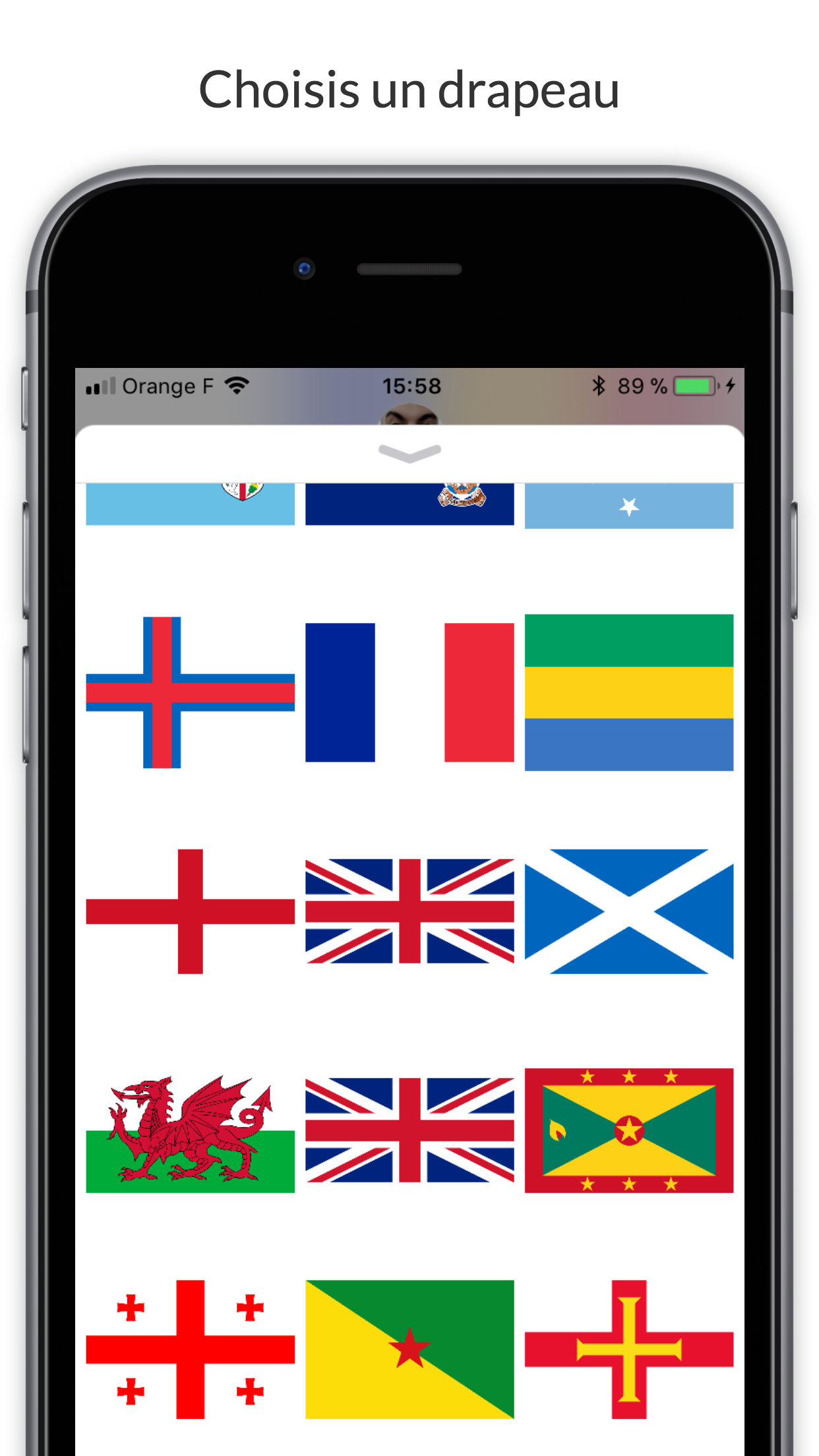 Flag Quiz screenshot 3