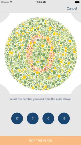 Game screenshot Color Vision Test Lite apk