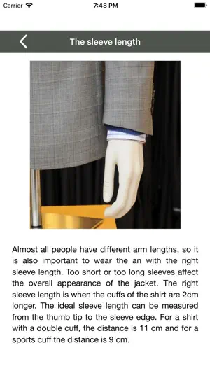 Business Style screenshot 2