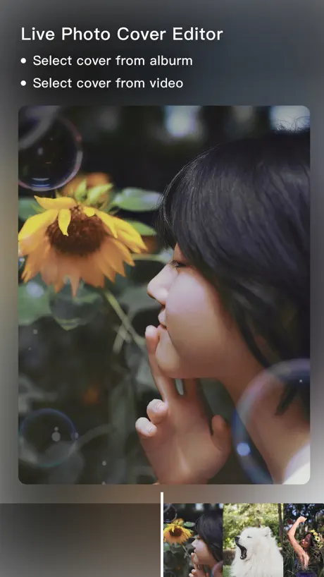 imgLive - Live Wallpaper Maker