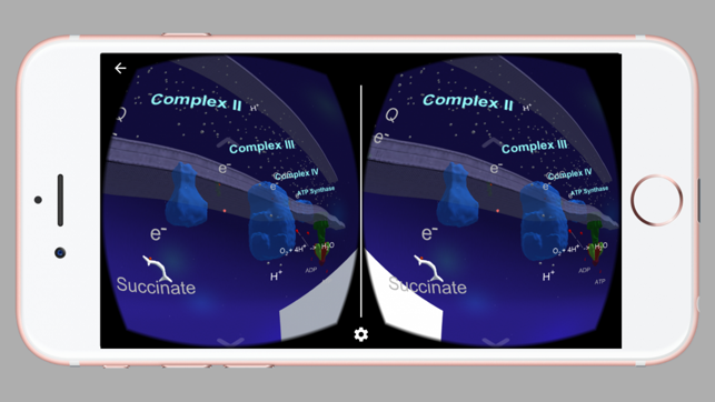 Mitochon VR(圖5)-速報App