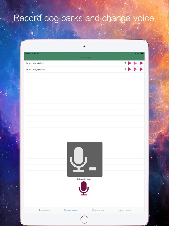 Screenshot #4 pour Bark Voice Changer