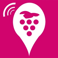 Geovina - Vin et tourisme messages.notwork