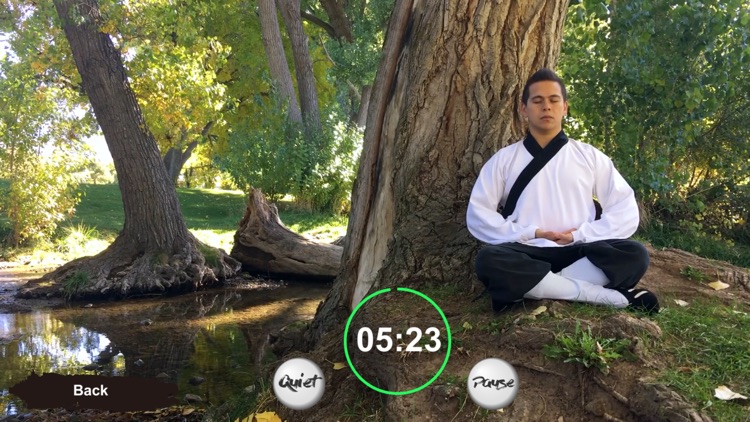 Tai Chi Trainer XR screenshot-7