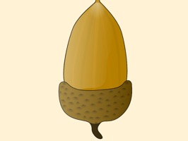 This sticker pack is full of acorn stickers for you to add to your sticker collection