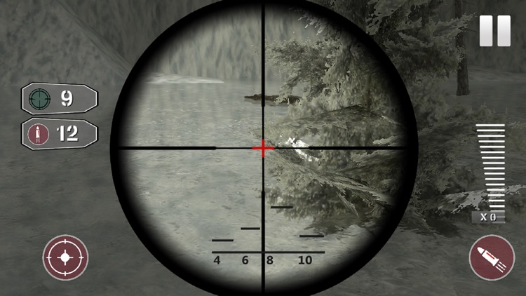 Hunt & Survive In Jungle