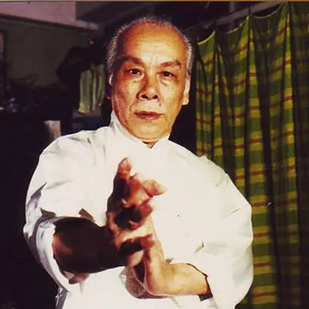 Lok Yiu Wing Chun Читы