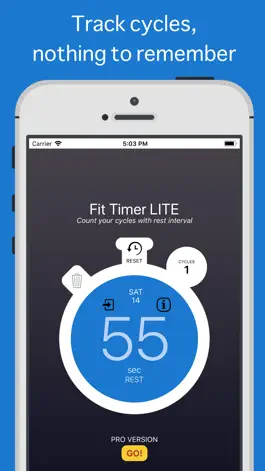 Game screenshot Fit Timer LITE hack