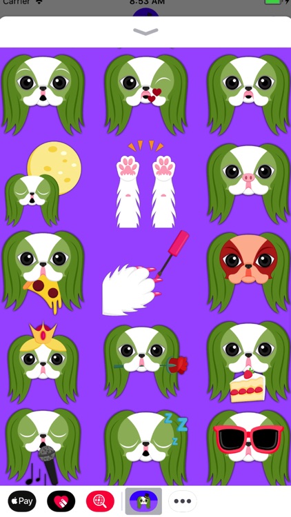 St Patrick's Day Japanese Chin