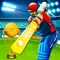 Are you Crazy about T20 Cricket