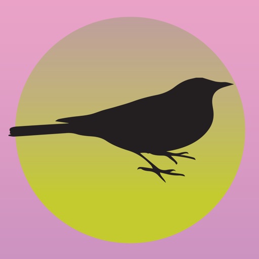 Blackbird Studio iOS App