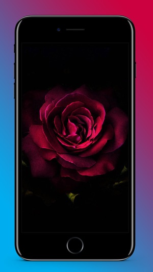 Battery Saving Wallpapers(圖4)-速報App