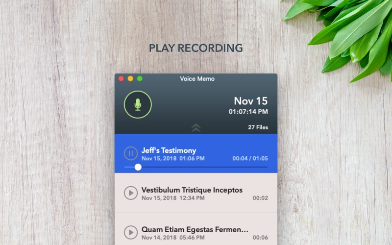 Voice Memo Screenshot