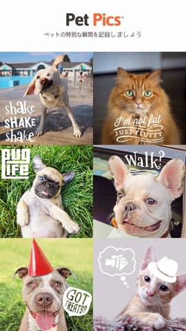 Pet Pics - Pet Photo Editorのおすすめ画像1