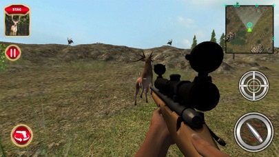 Wild Animal Hunting Adventure screenshot 4