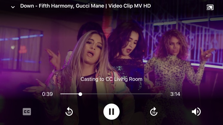 Video Caster - for Chromecast screenshot-3