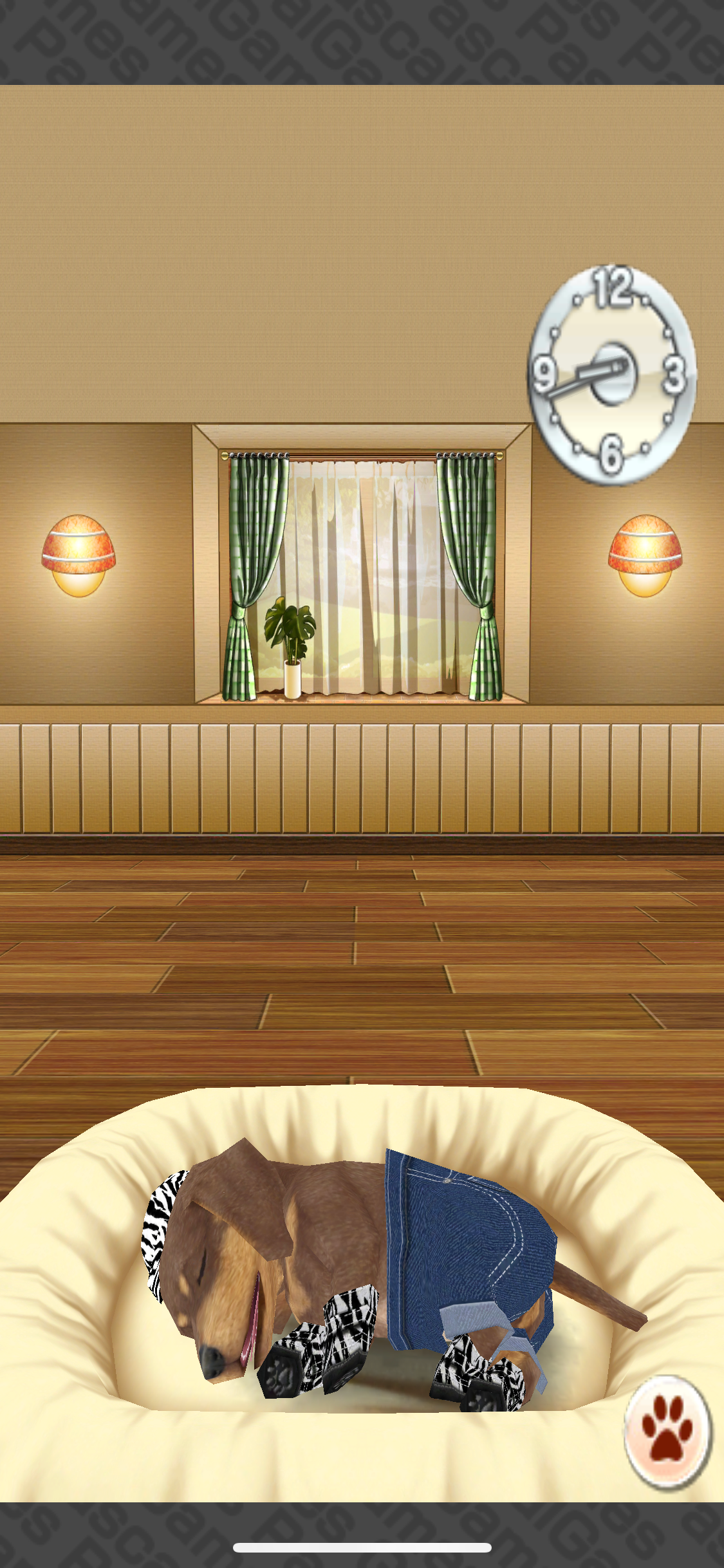 My Dog My Room screenshot 3