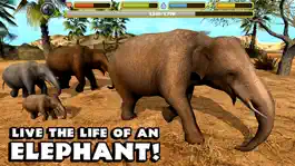Game screenshot Elephant Simulator mod apk