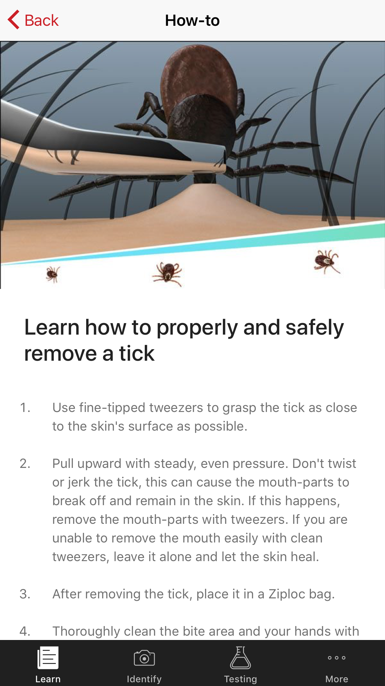 TickReport