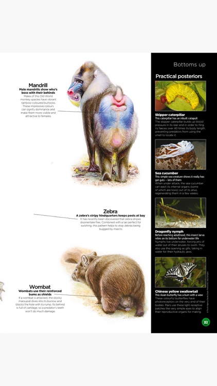 World of Animals Magazine: Wildlife and nature screenshot-4