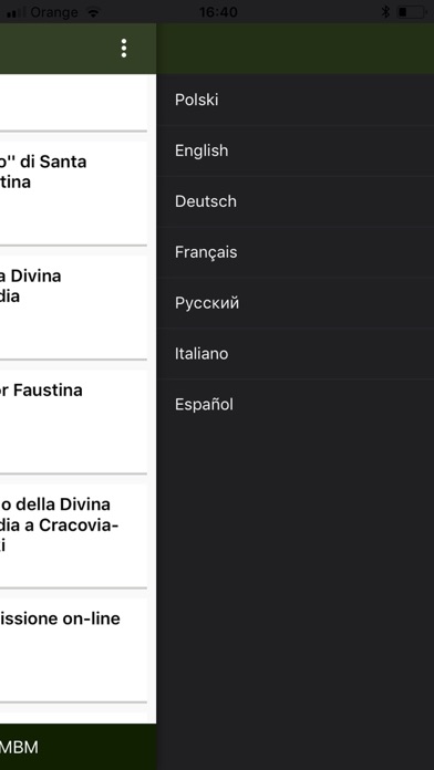 Santafaustina.es screenshot 7