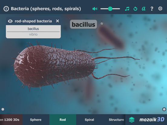 Screenshot #6 pour Bacteria 3D