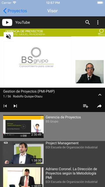 Simulador PMP Proyectos screenshot-6