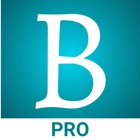 BlinkBook Pro - Book Summary