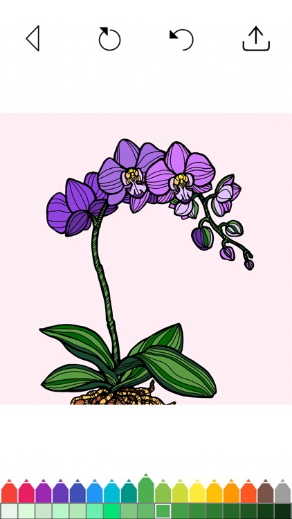 Flower Coloring Book Games screenshot-3
