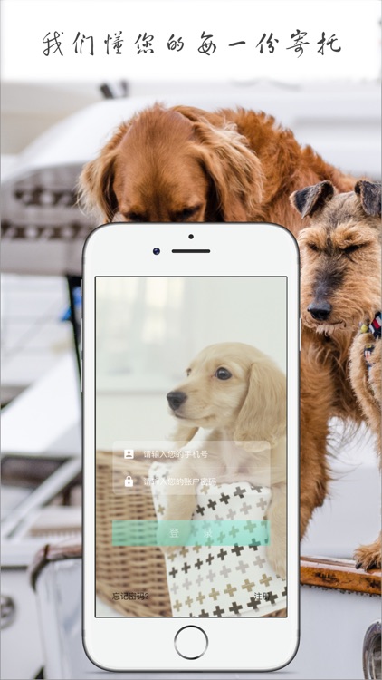 家有小宠-家庭式宠物寄养平台