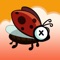 This is a ladybug on a mission