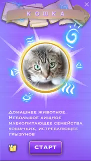 book-man айфон картинки 2