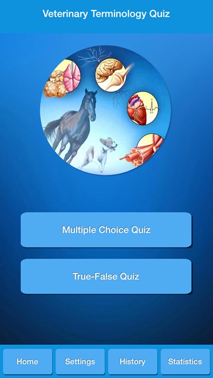 Veterinary Terminology Quiz
