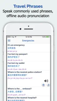 mandarin chinese dictionary + iphone screenshot 4