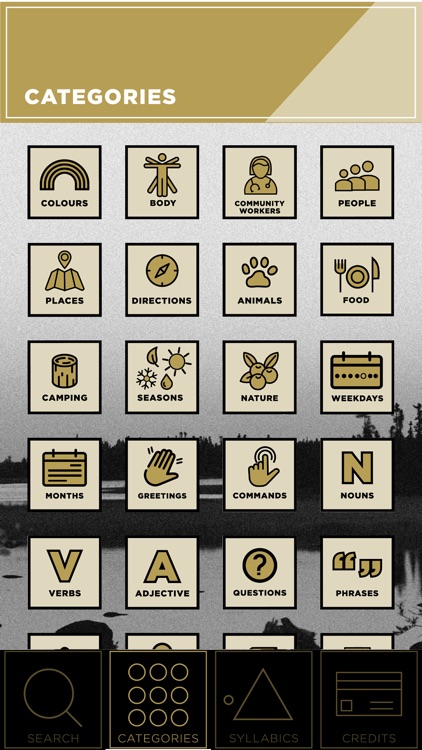 Saysi Dene Dictionary screenshot-3