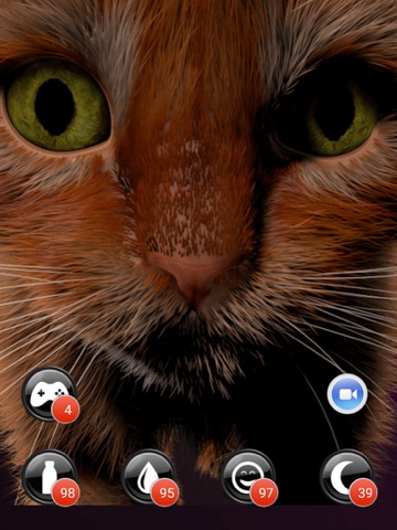 Screenshot #5 pour My Kitten (Cat Simulator)