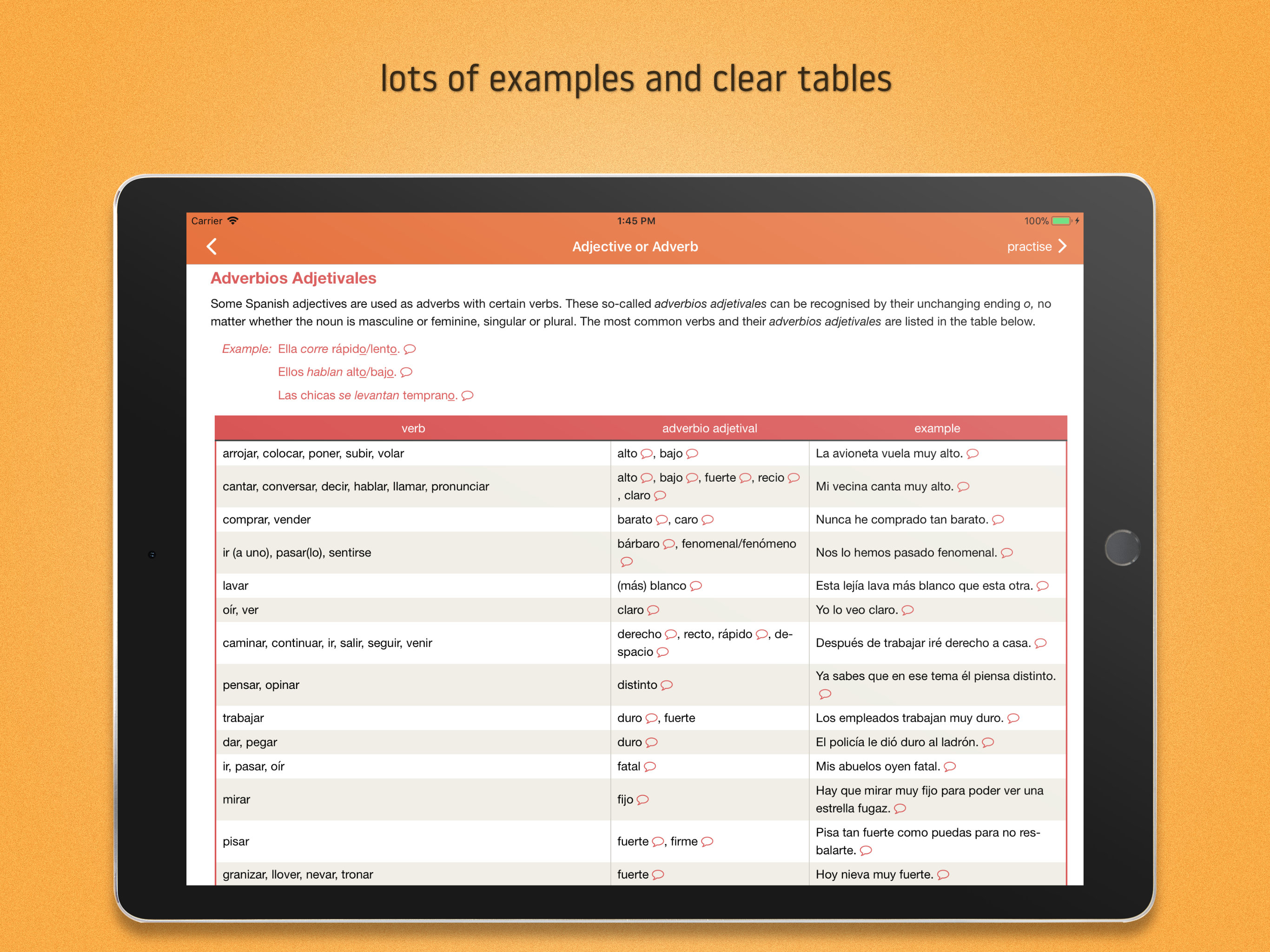 Lingolia Spanish Grammar screenshot 5
