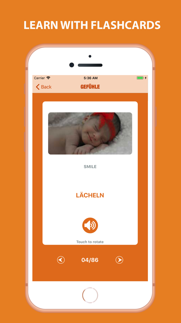 German Vocabulary By Picture