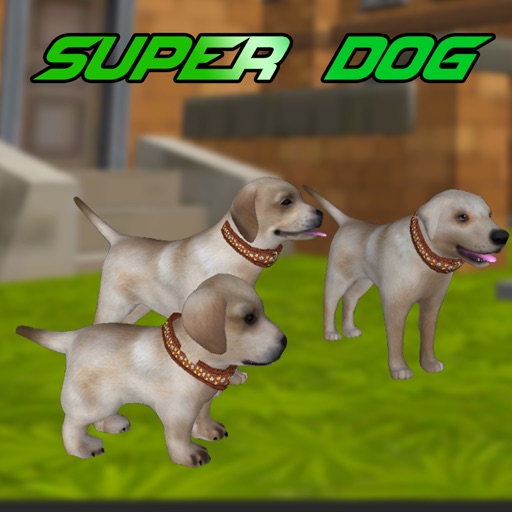 Super Puppy 3D