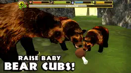 Game screenshot Wildlife Simulator: Bear hack