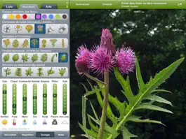 Game screenshot Fleurs en poche HD apk